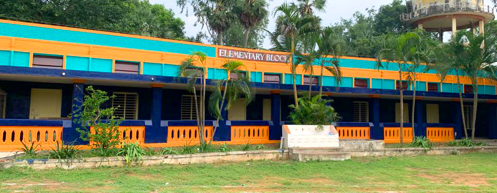 Elementary (6) Elementary (6)
